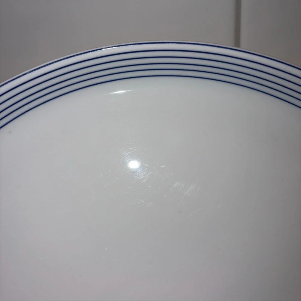 Classic Dinner Plate with Blue Stripes Crate and Barrel Monno Bangladesh 10”
